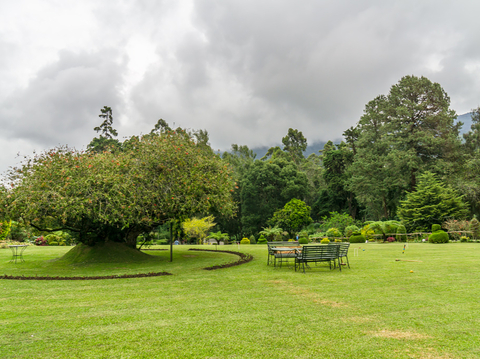 Residential Landscape