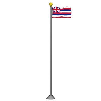 Modern flag flag free