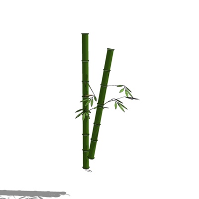 Modern Bamboo Free