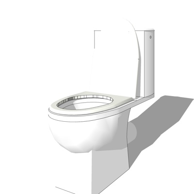 Modern toilet free