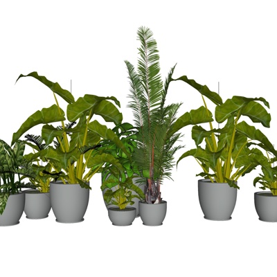 Modern Green Plant Potted Free