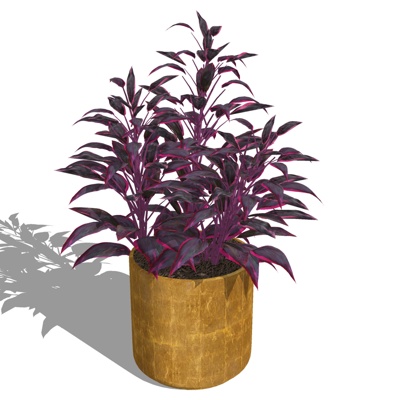 Modern Green Plant Potted Free