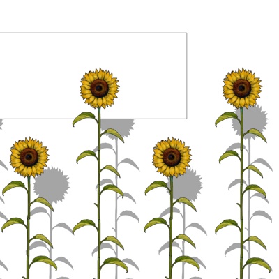 Modern Sunflower Landscape Wall Free