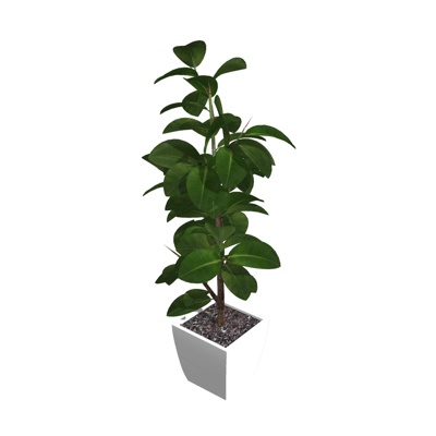 Modern Green Plant Potted Free