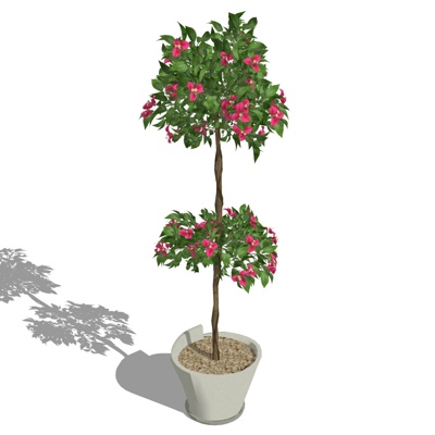 Modern Green Plant Potted Free