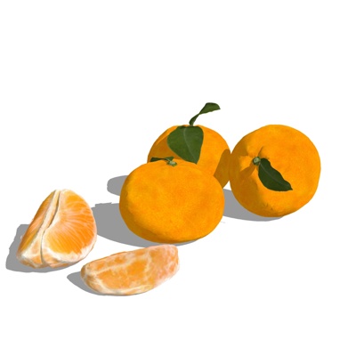 Modern Orange Free