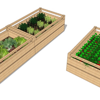 Modern Vegetable Garden Free