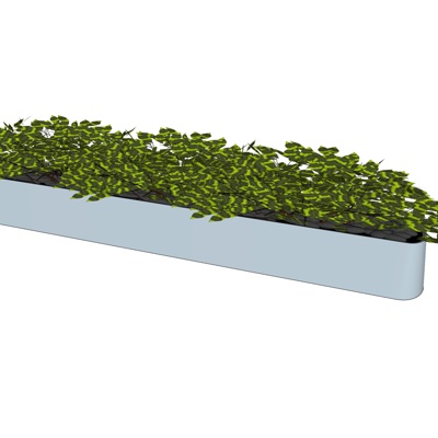 Modern Green Plant Potted Free