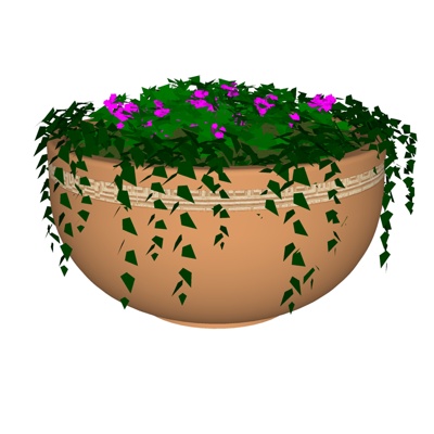 Modern flowers and plants, green plants, potted plants