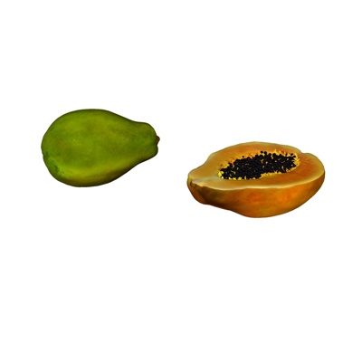 Modern Papaya Food