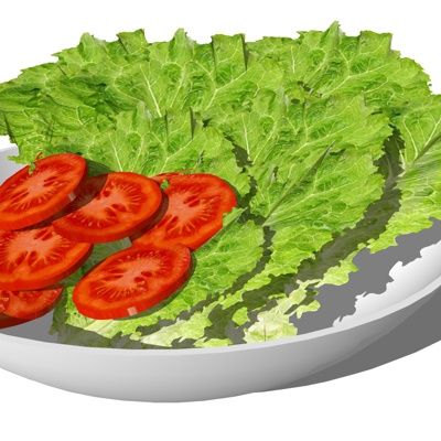 Modern Lettuce Tomato