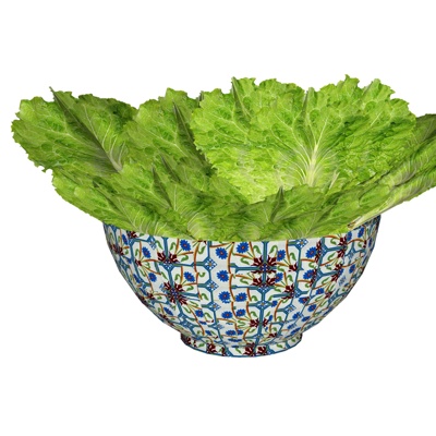 Modern lettuce food