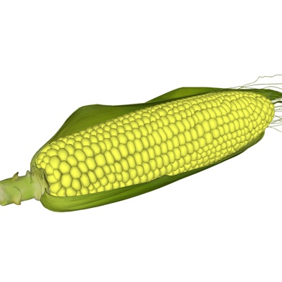 Modern Corn