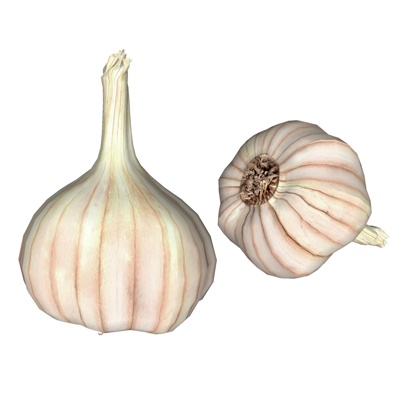 Modern Garlic