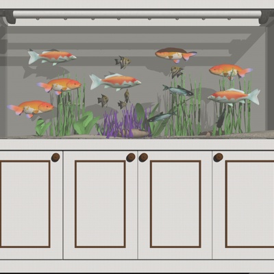 Modern glass fish tank