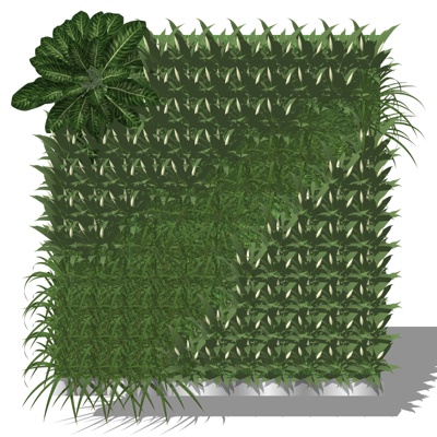 Modern Plant Wall