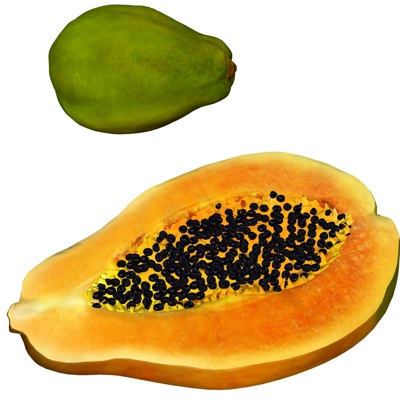 Modern papaya