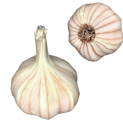 Modern Garlic