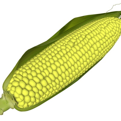 Modern Corn