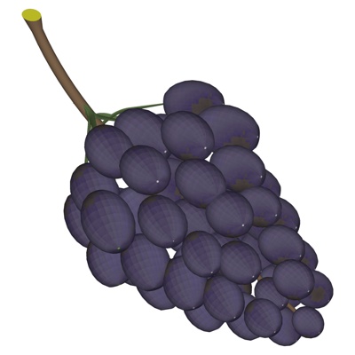 Modern Grape