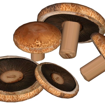 Modern Shiitake