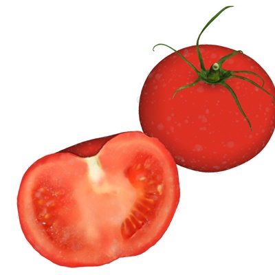 Modern tomatoes