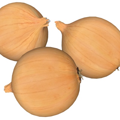 Modern Garlic