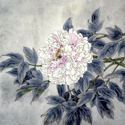 peony flower