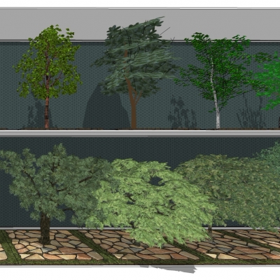 Modern landscape tree combination