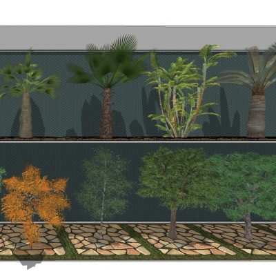 Modern landscape tree combination