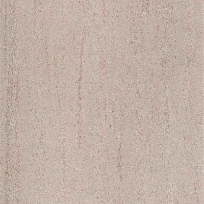 Xingtian imported marble stone wood fossil