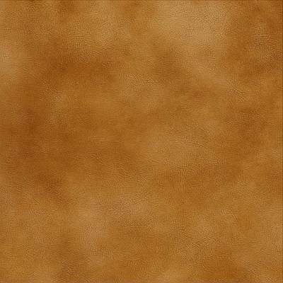 Leather texture