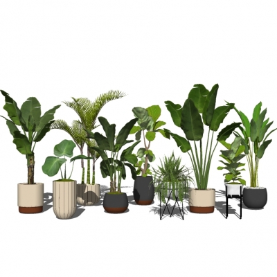 Modern indoor potted plant combination