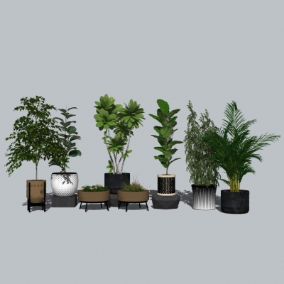 Modern indoor potted plant combination