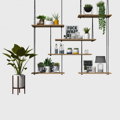 Nordic Decorative Frame Potted Plant Combination