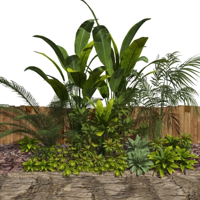 Modern outdoor shrub plant combination