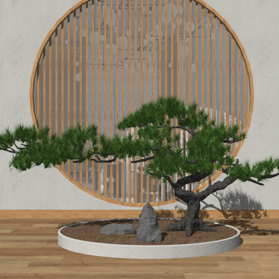 New Chinese Pine Scrib