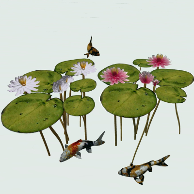 Modern Lotus Pond