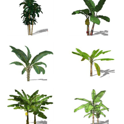 Modern Palm Tree