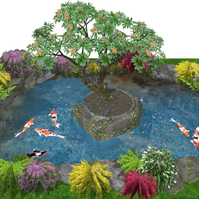 Modern Garden Pond