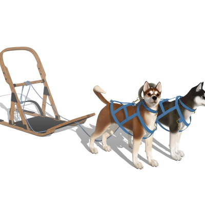 Modern dog sledding