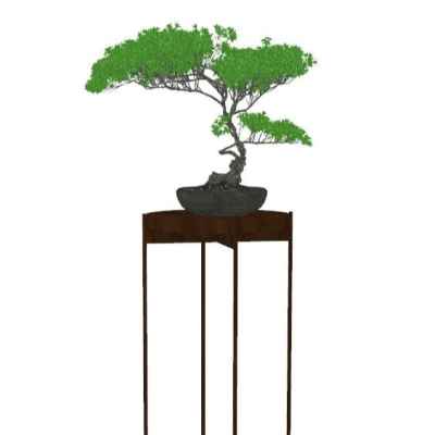 New Chinese Green Plant Bonsai