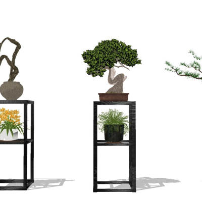 Neo-Chinese Style Indoor Bonsai