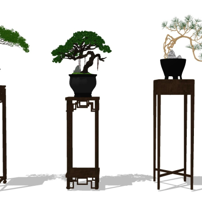 Neo-Chinese Style Indoor Bonsai