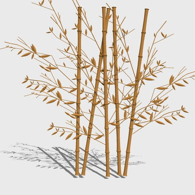 Modern Bamboo