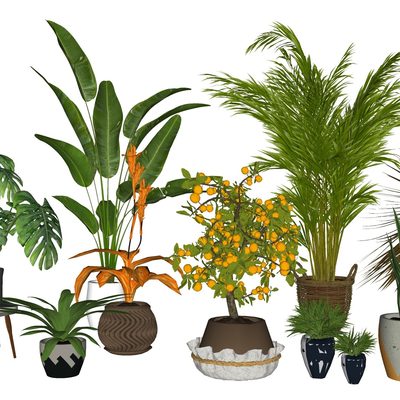 Modern potted plant combination free