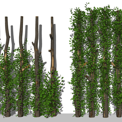 Natural wind tree trunk climbing gardening sketch