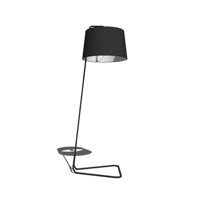 Modern Metal Floor Lamp Free