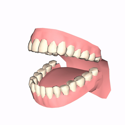 Modern Hospital Oral Model Free