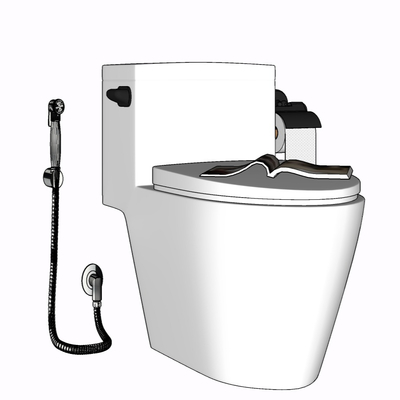 Modern toilet free